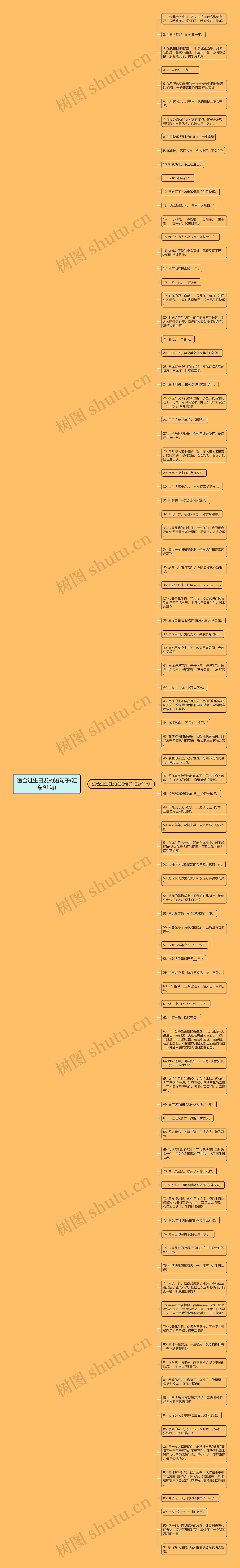 适合过生日发的短句子(汇总91句)思维导图