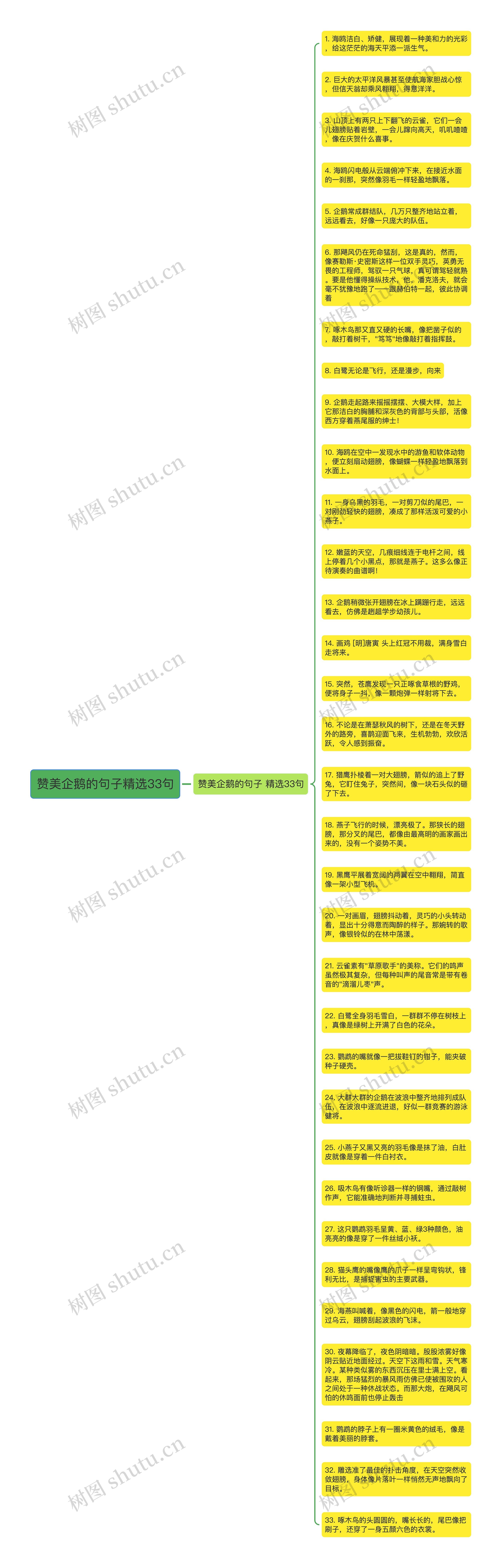 赞美企鹅的句子精选33句