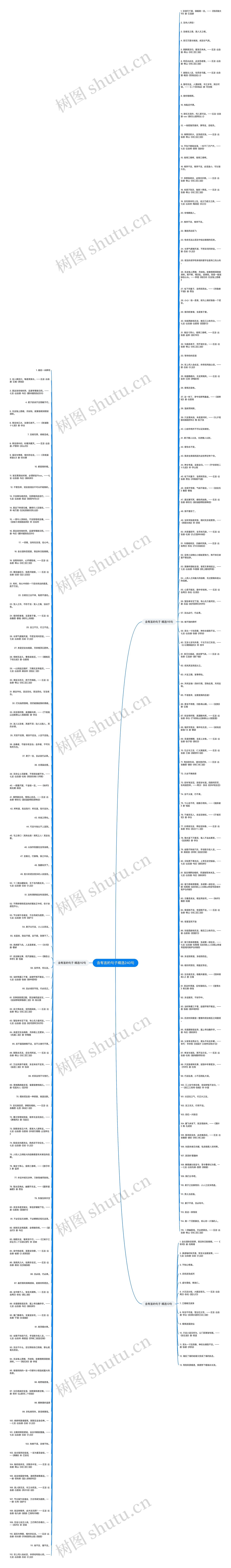 含有言的句子精选240句思维导图