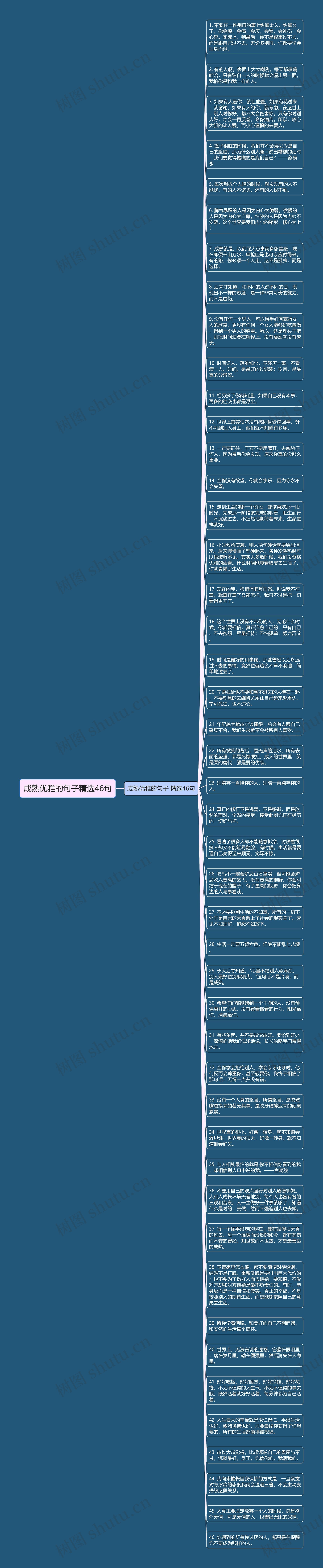 成熟优雅的句子精选46句思维导图