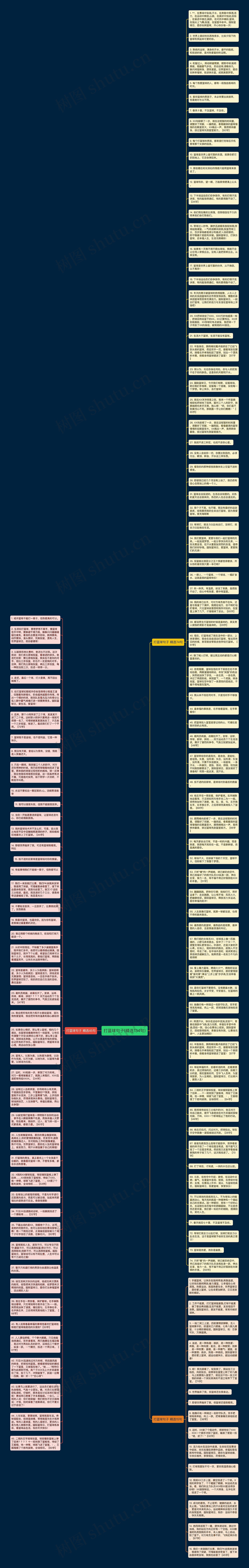 打蓝球句子(精选134句)思维导图