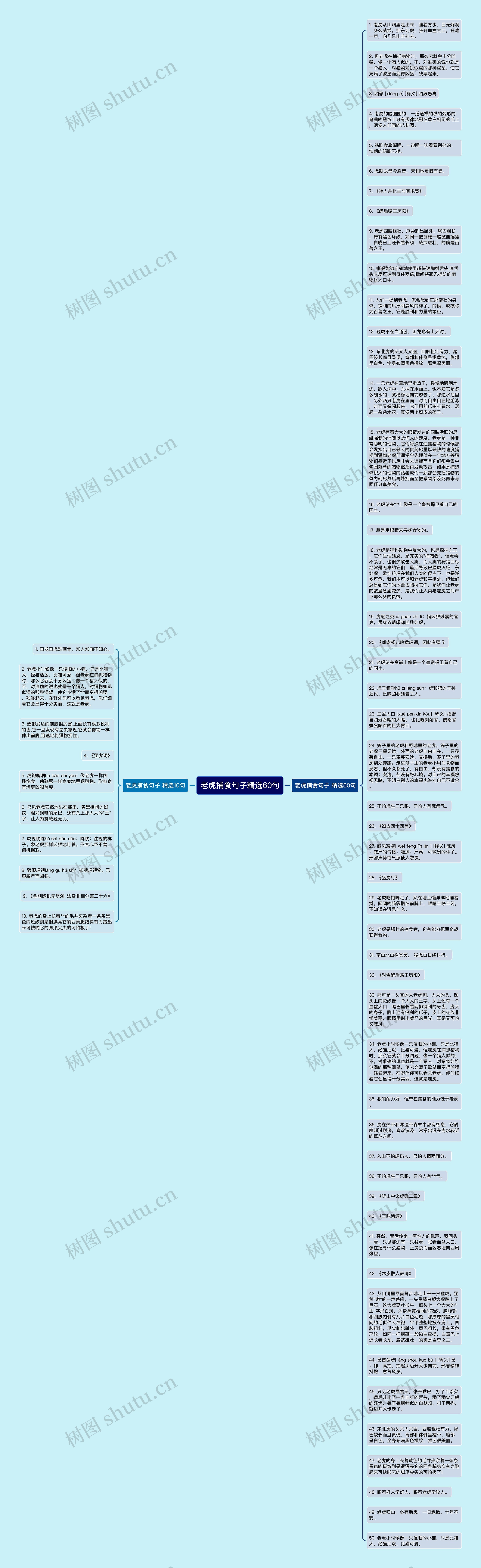 老虎捕食句子精选60句思维导图