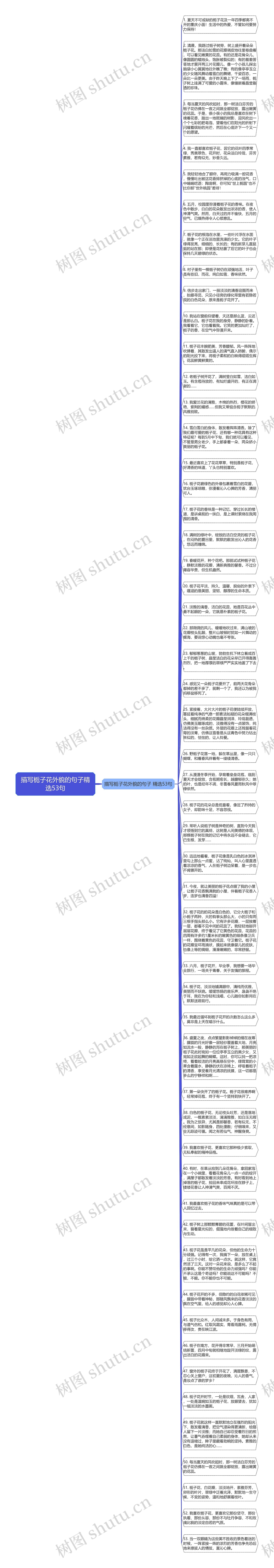 描写栀子花外貌的句子精选53句思维导图