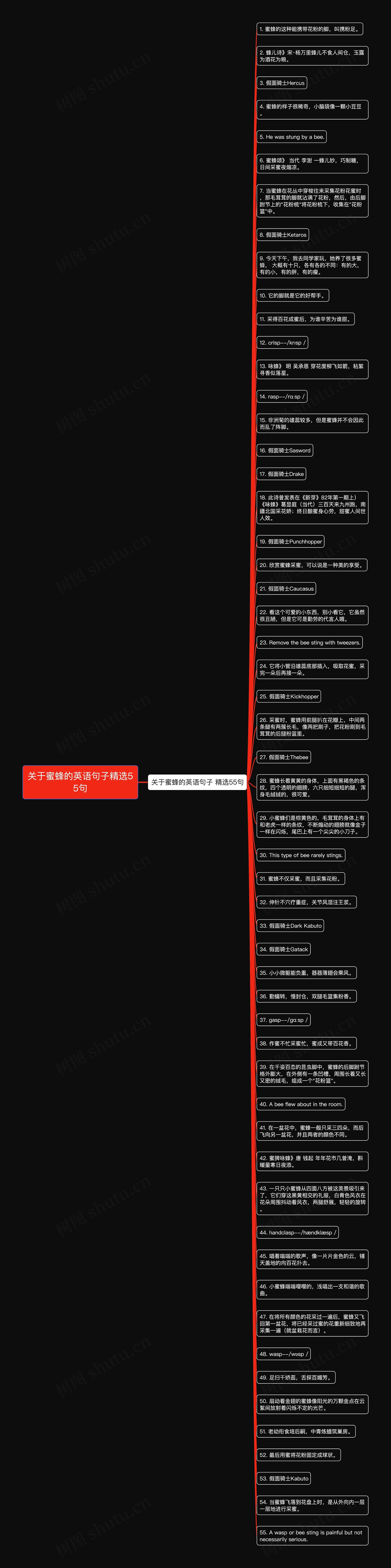 关于蜜蜂的英语句子精选55句思维导图