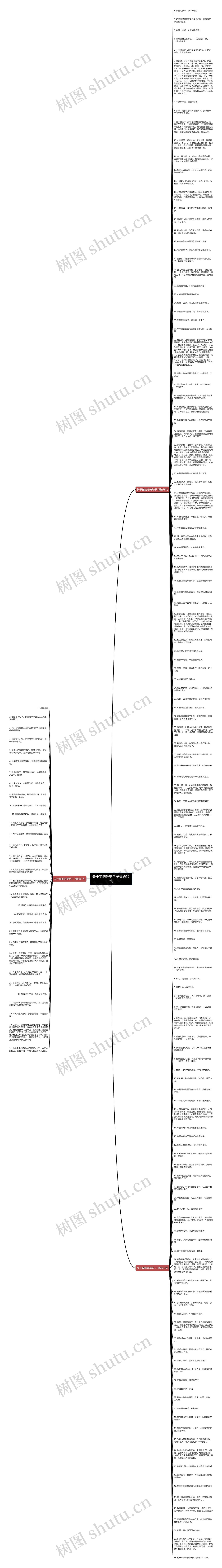 关于猫的唯美句子精选163句思维导图