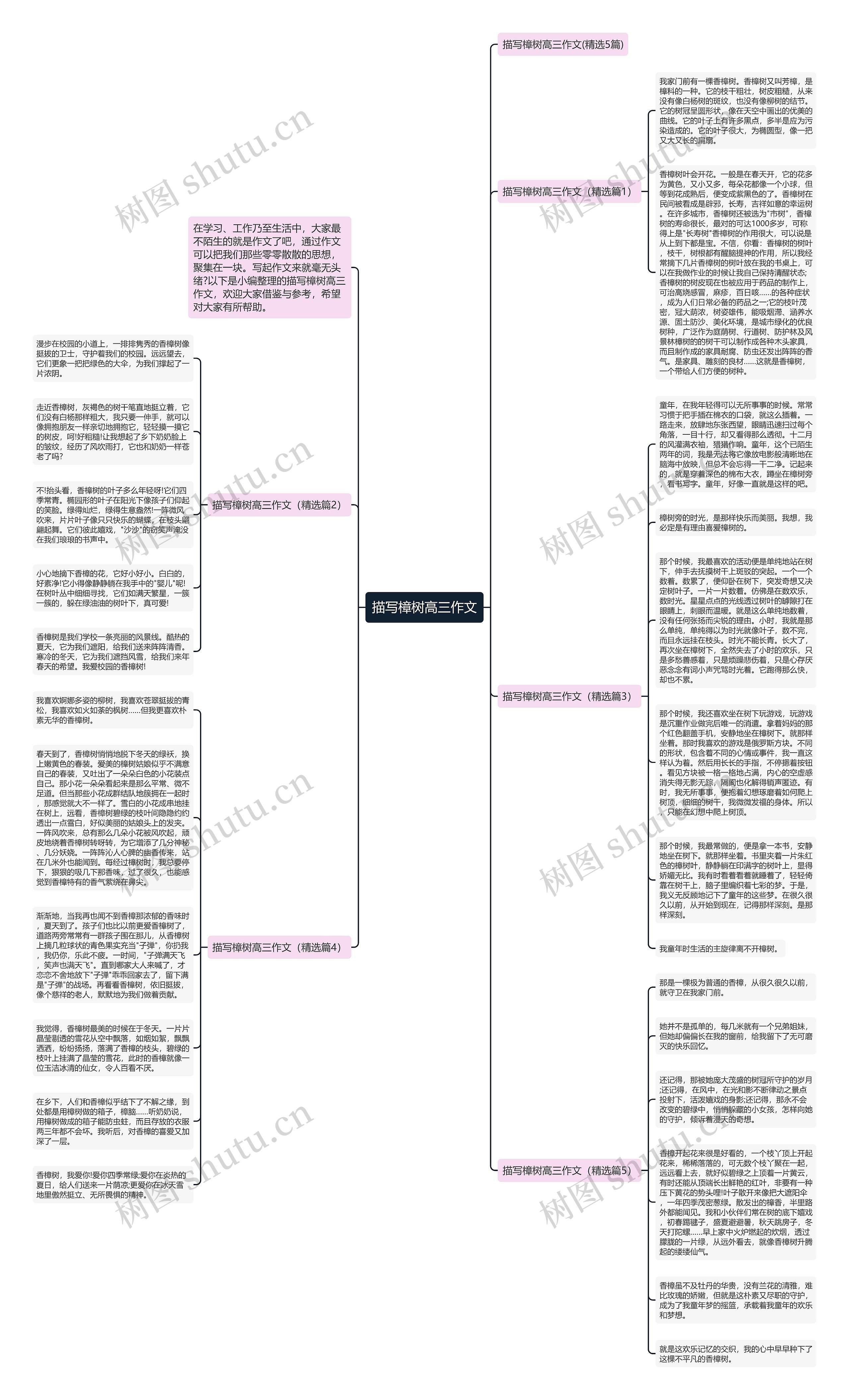 描写樟树高三作文思维导图