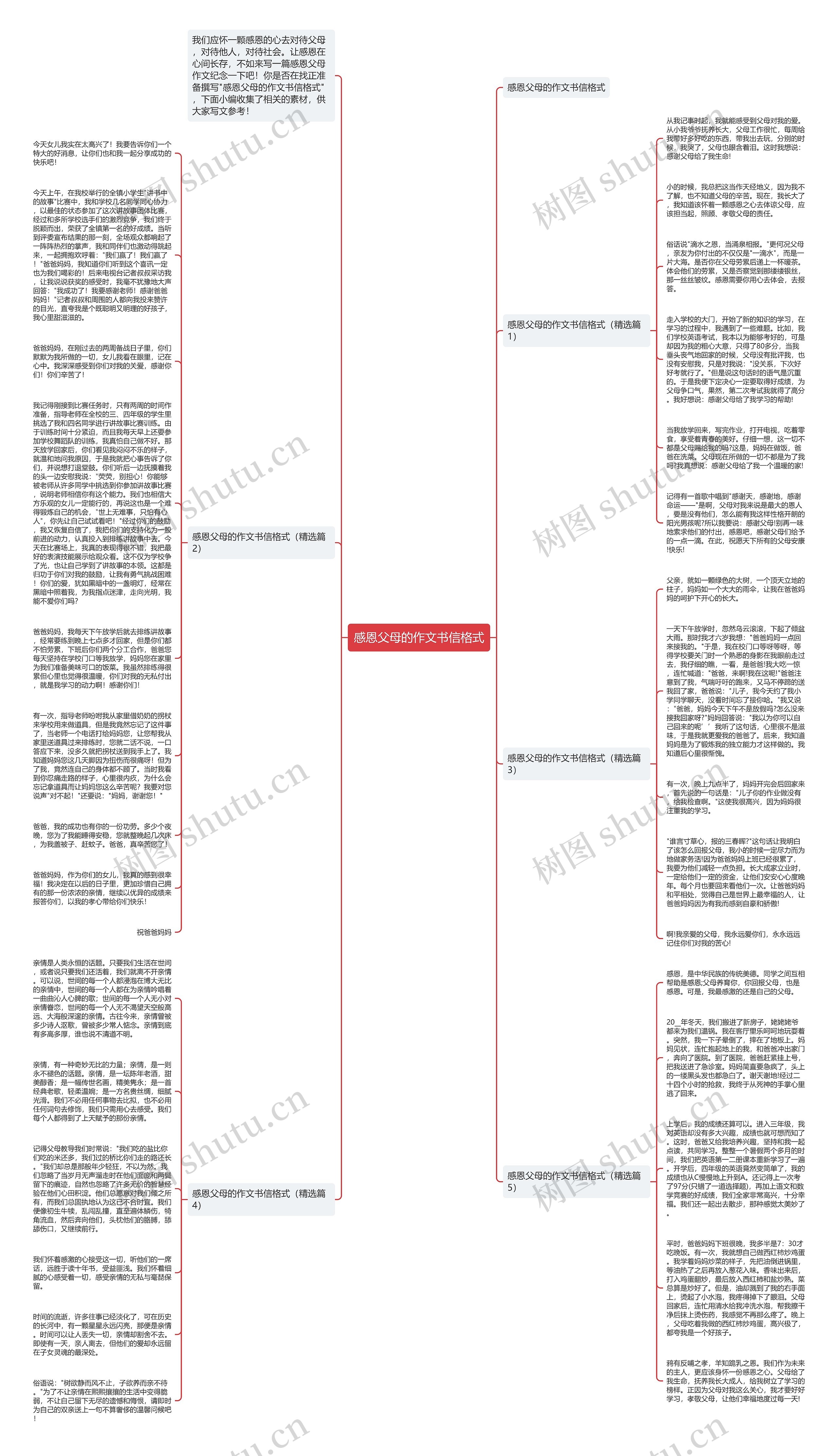 感恩父母的作文书信格式思维导图