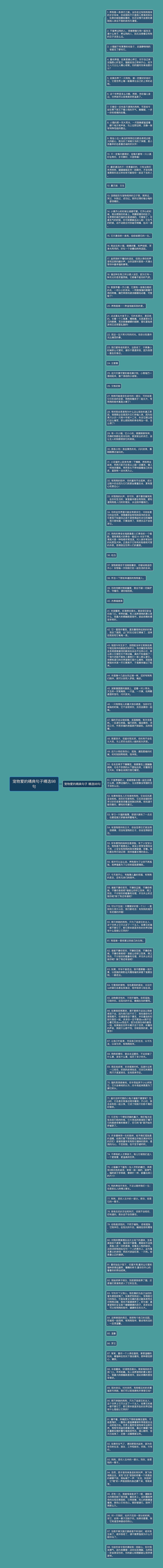 宠物爱的精典句子精选98句思维导图