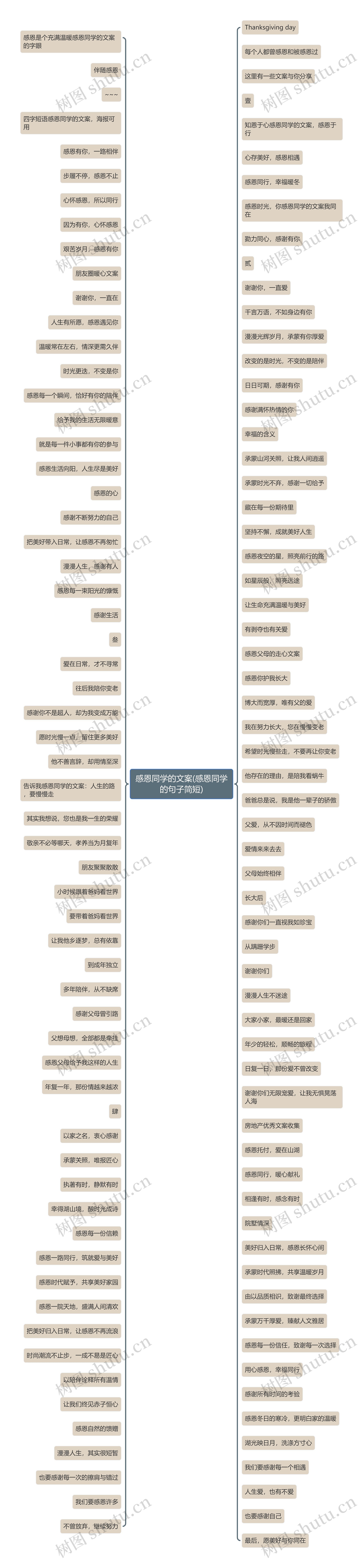 感恩同学的文案(感恩同学的句子简短)