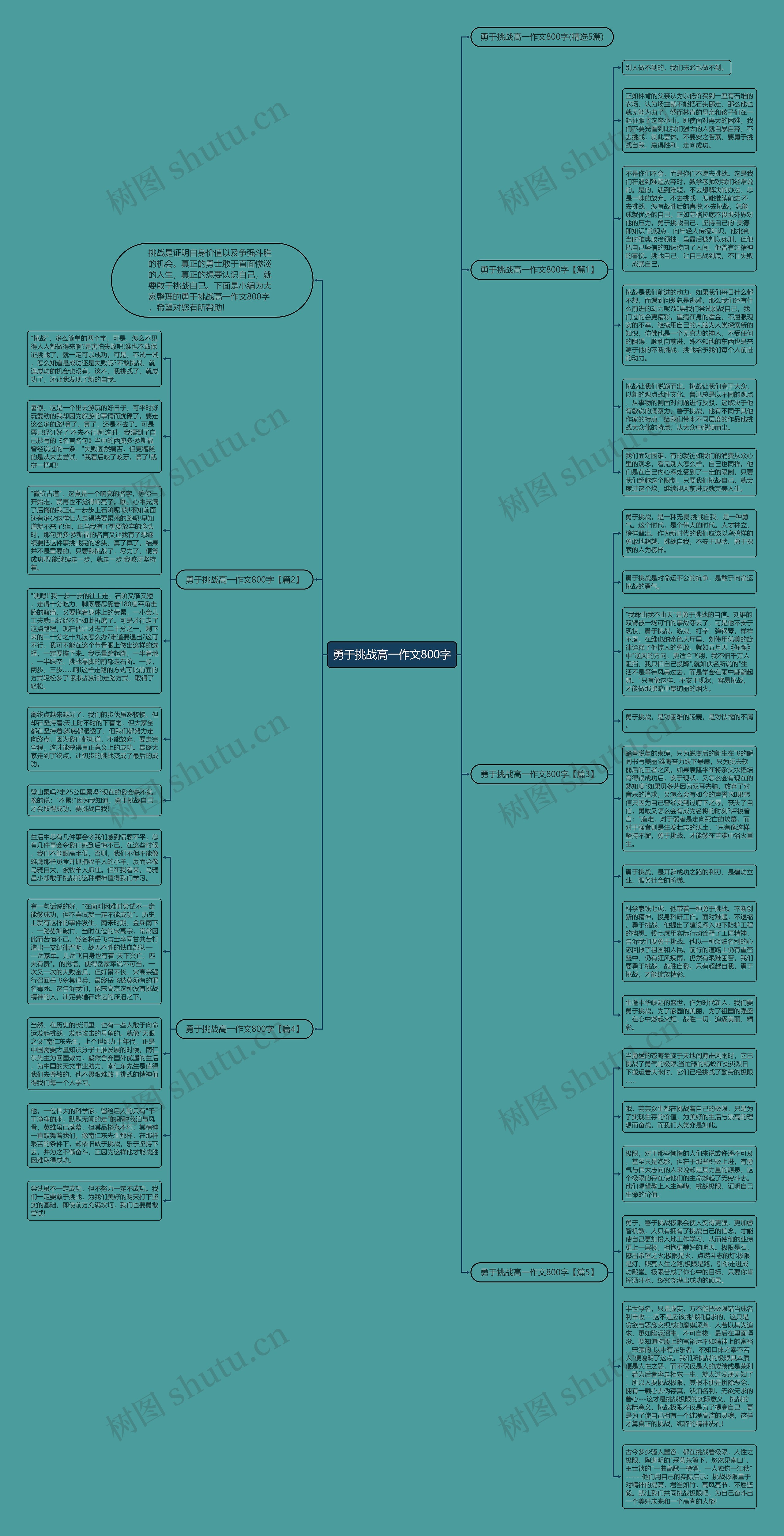 勇于挑战高一作文800字思维导图