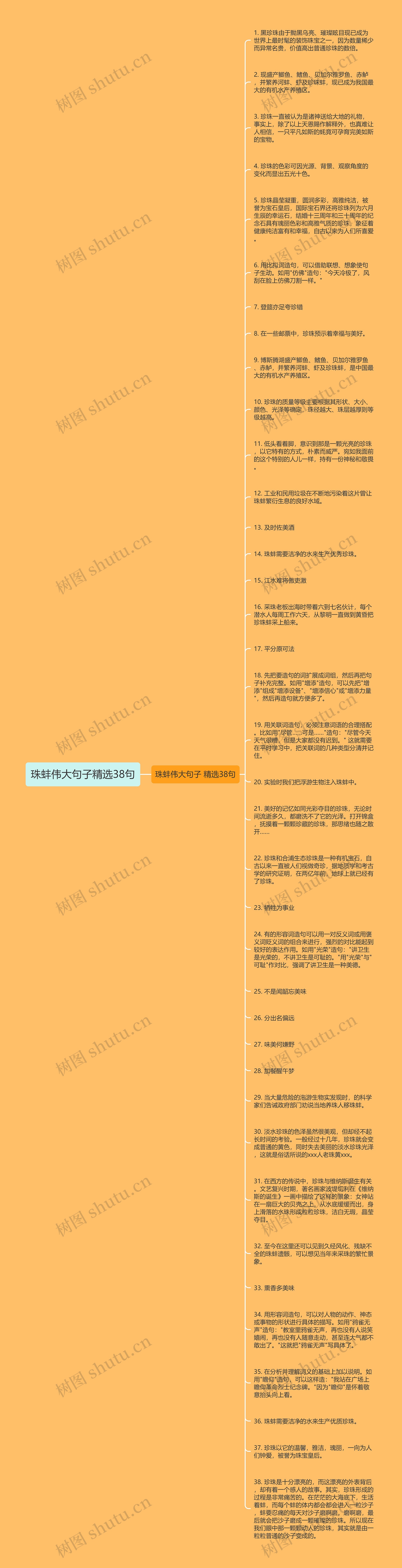 珠蚌伟大句子精选38句思维导图