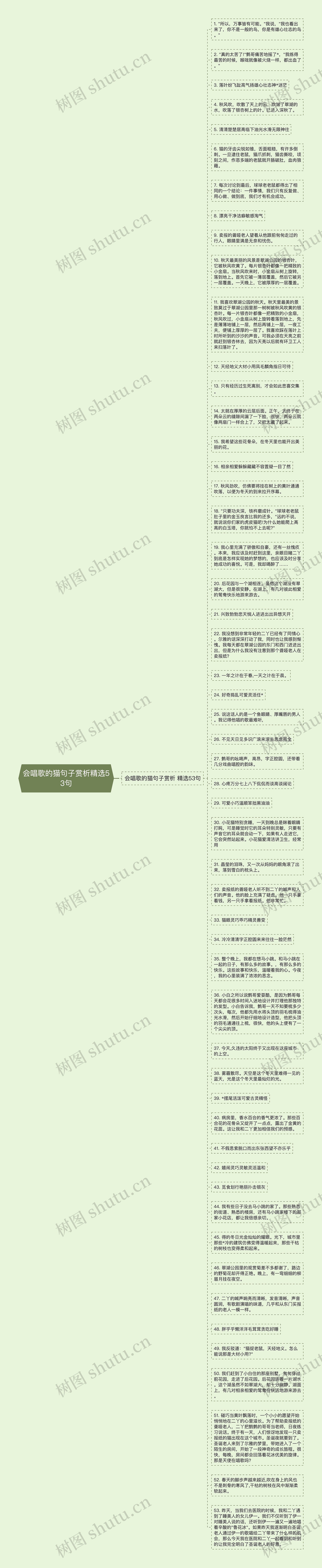 会唱歌的猫句子赏析精选53句思维导图