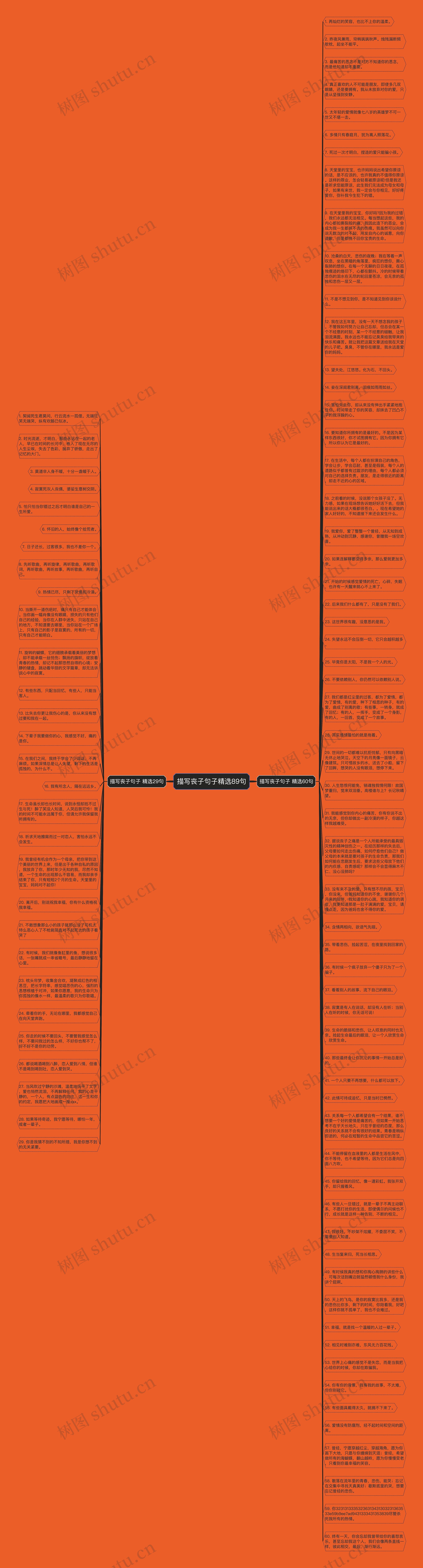 描写丧子句子精选89句思维导图