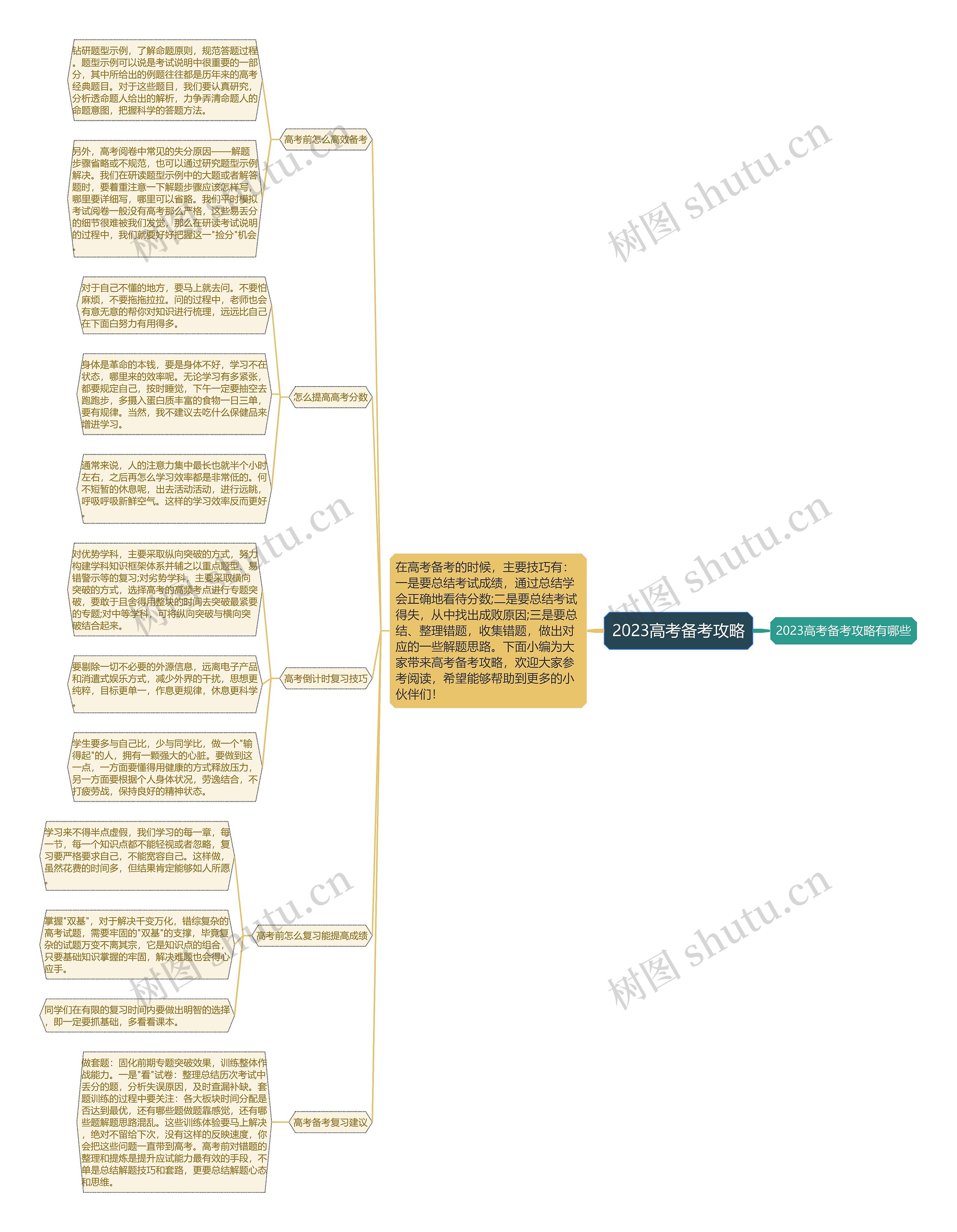 2023高考备考攻略思维导图