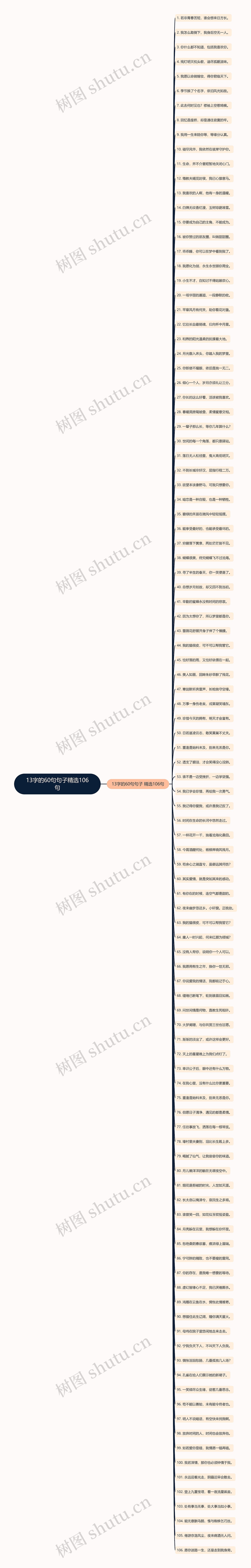 13字的60句句子精选106句