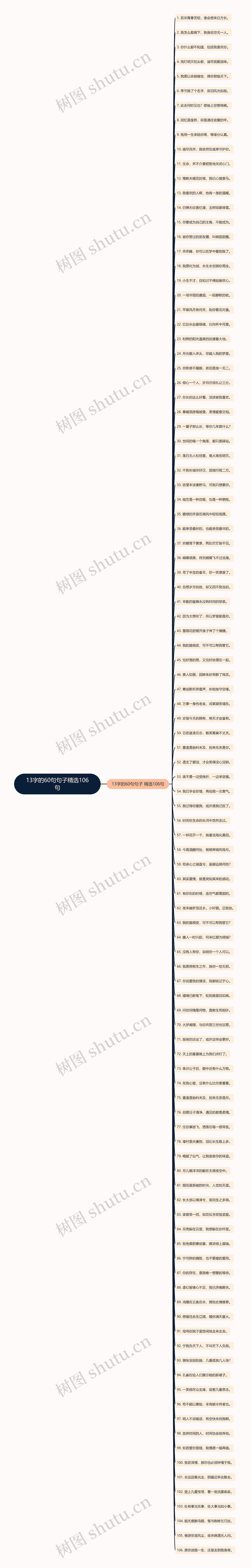 13字的60句句子精选106句