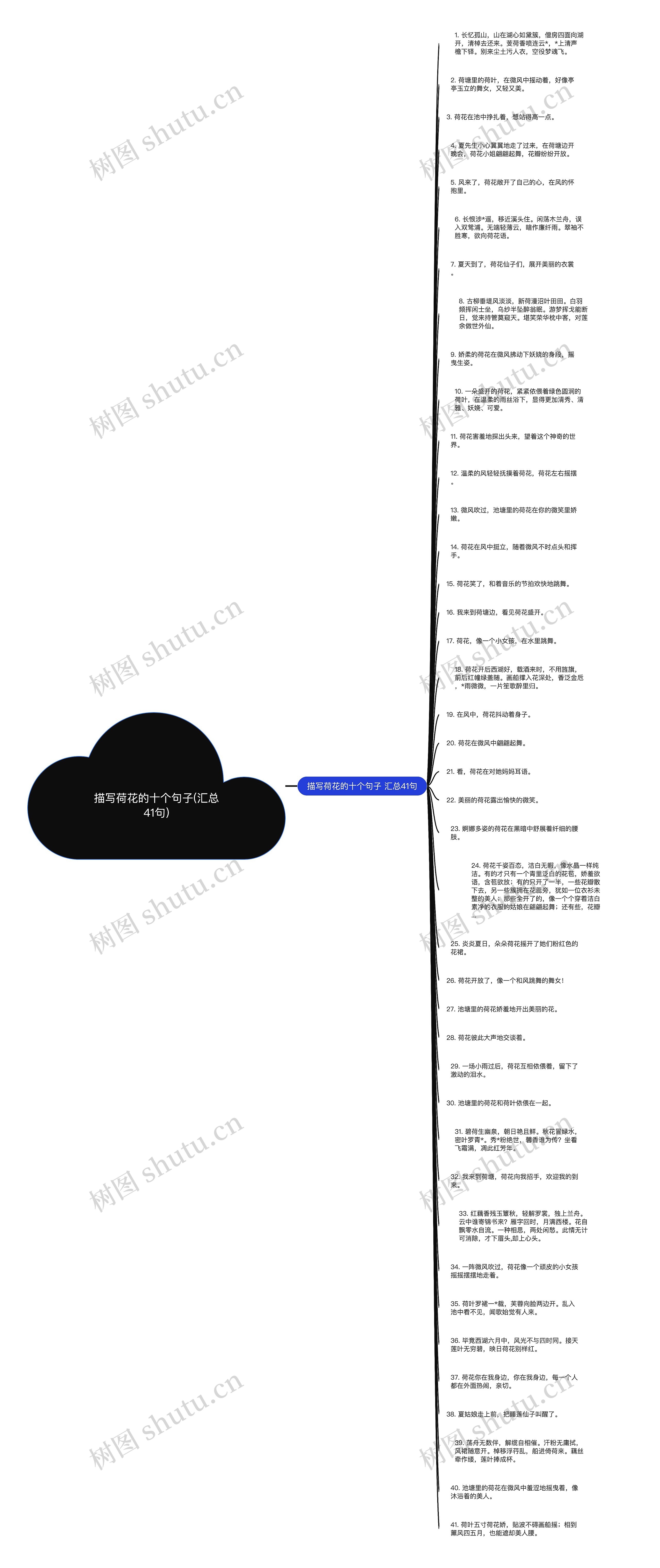 描写荷花的十个句子(汇总41句)思维导图
