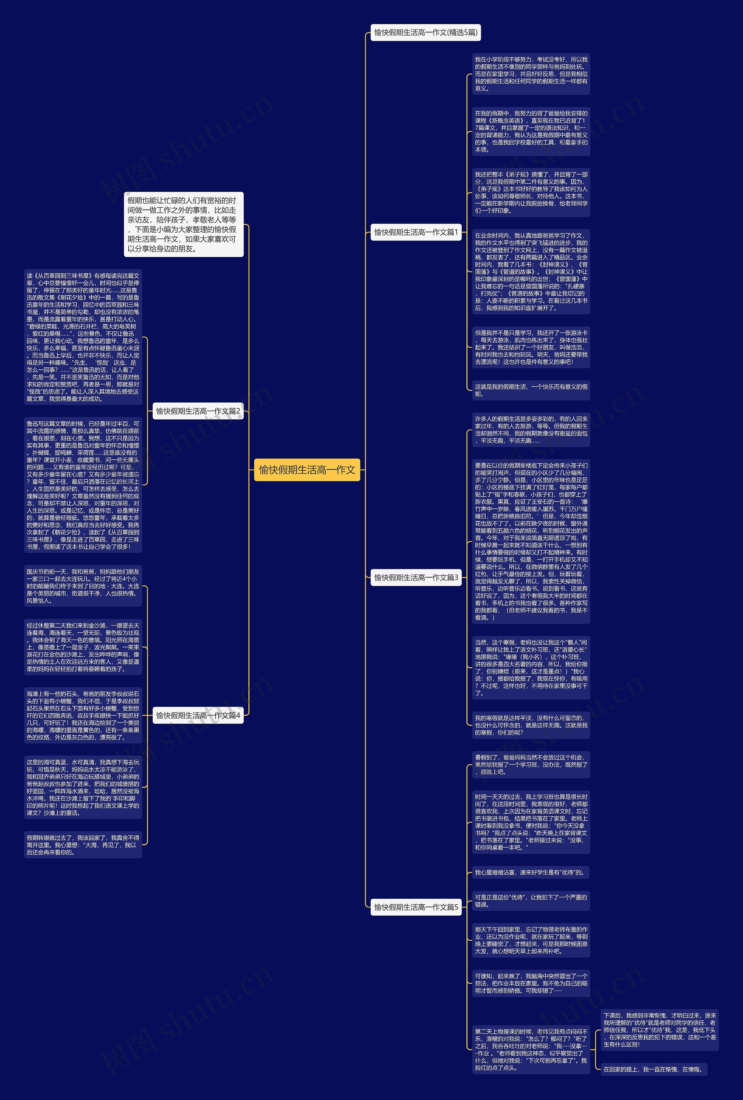 愉快假期生活高一作文思维导图