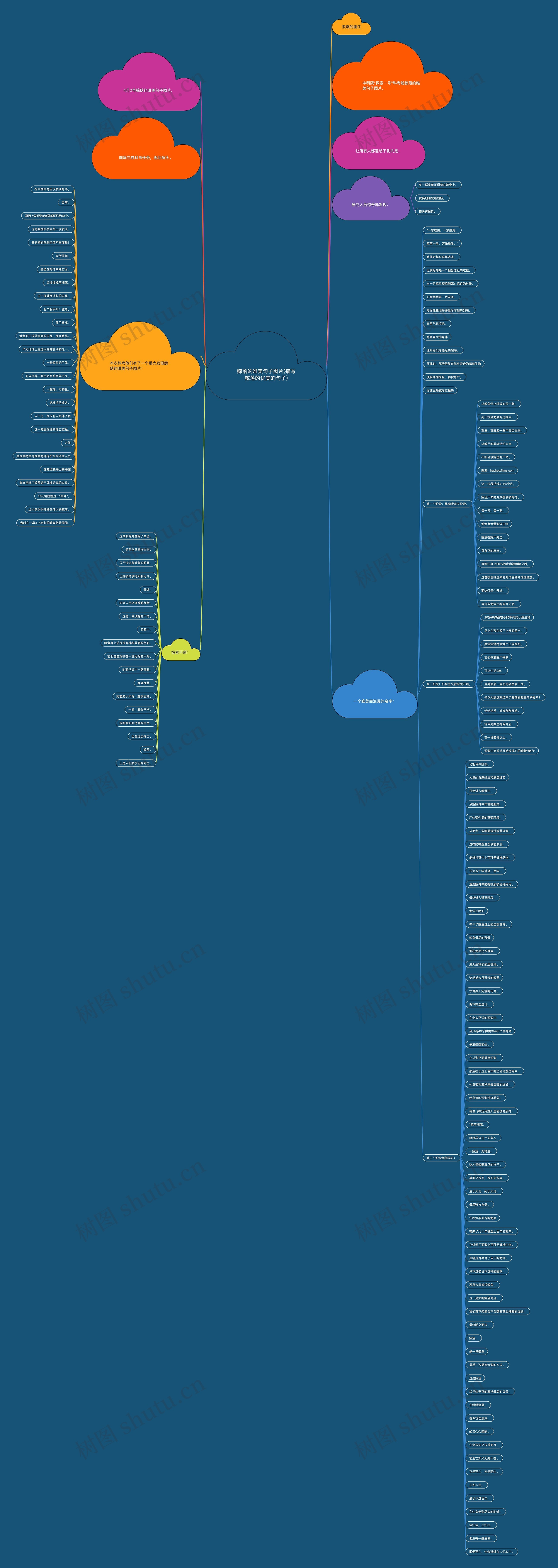 鲸落的唯美句子图片(描写鲸落的优美的句子)思维导图