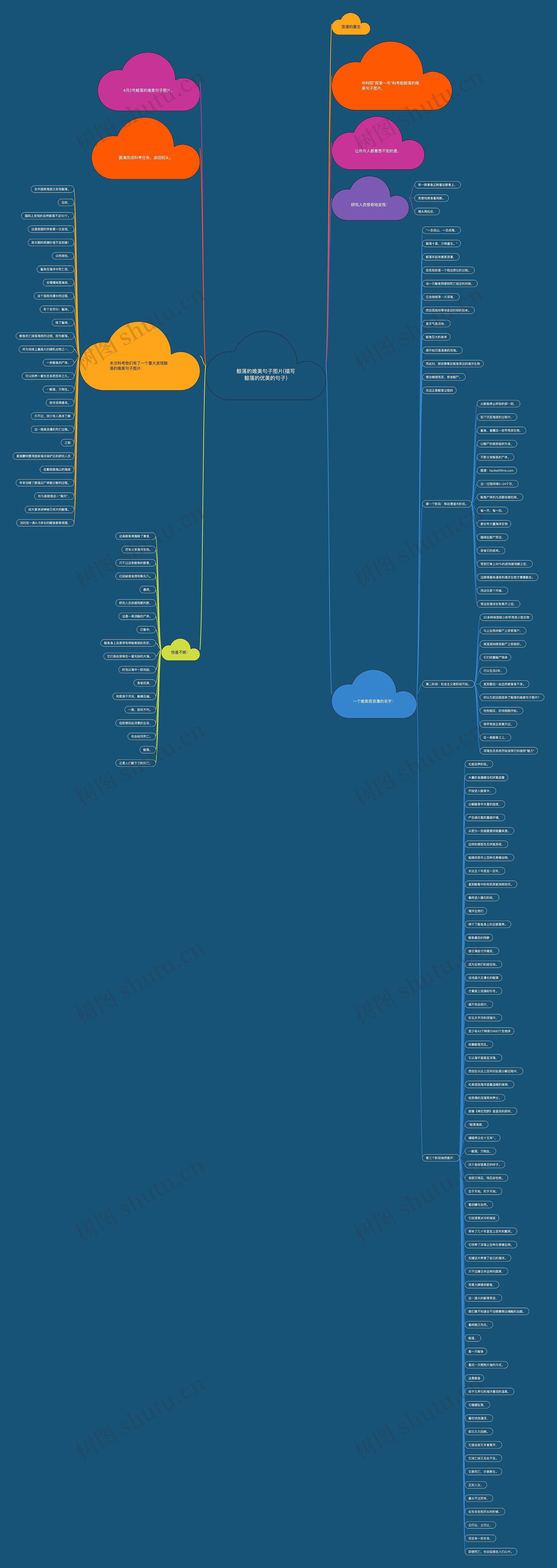 鲸落的唯美句子图片(描写鲸落的优美的句子) 鲸落的唯美句子图片(描写鲸落的优美的句子)