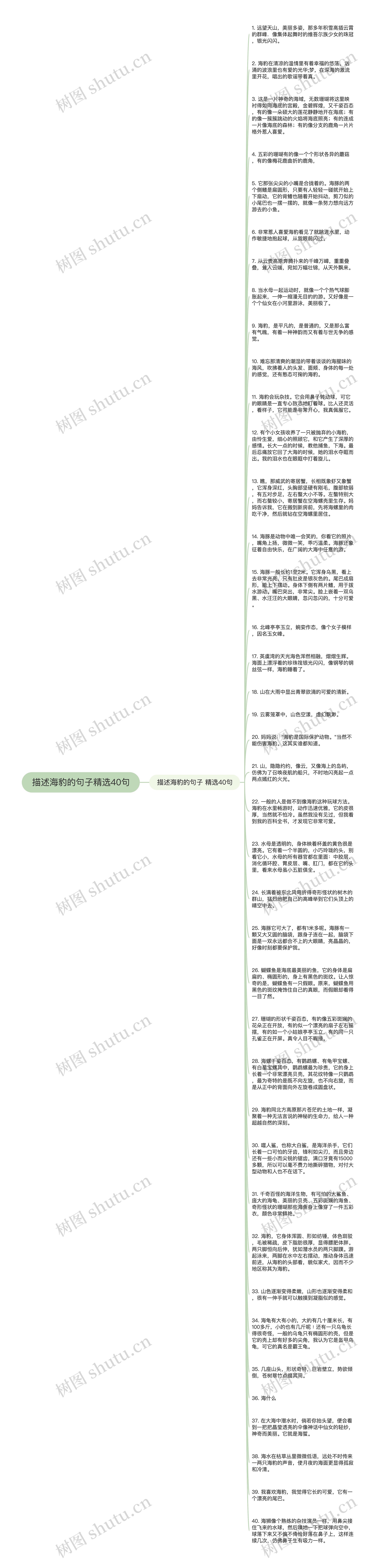 描述海豹的句子精选40句