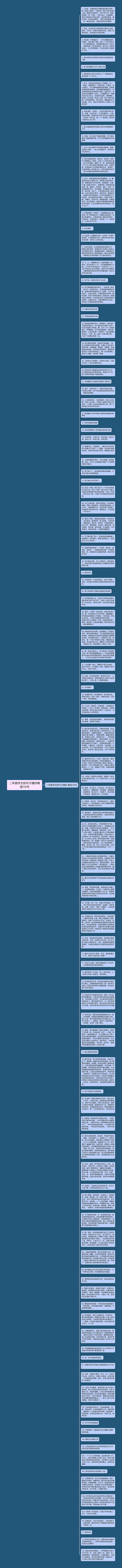 二年级作文好句子摘抄精选112句思维导图