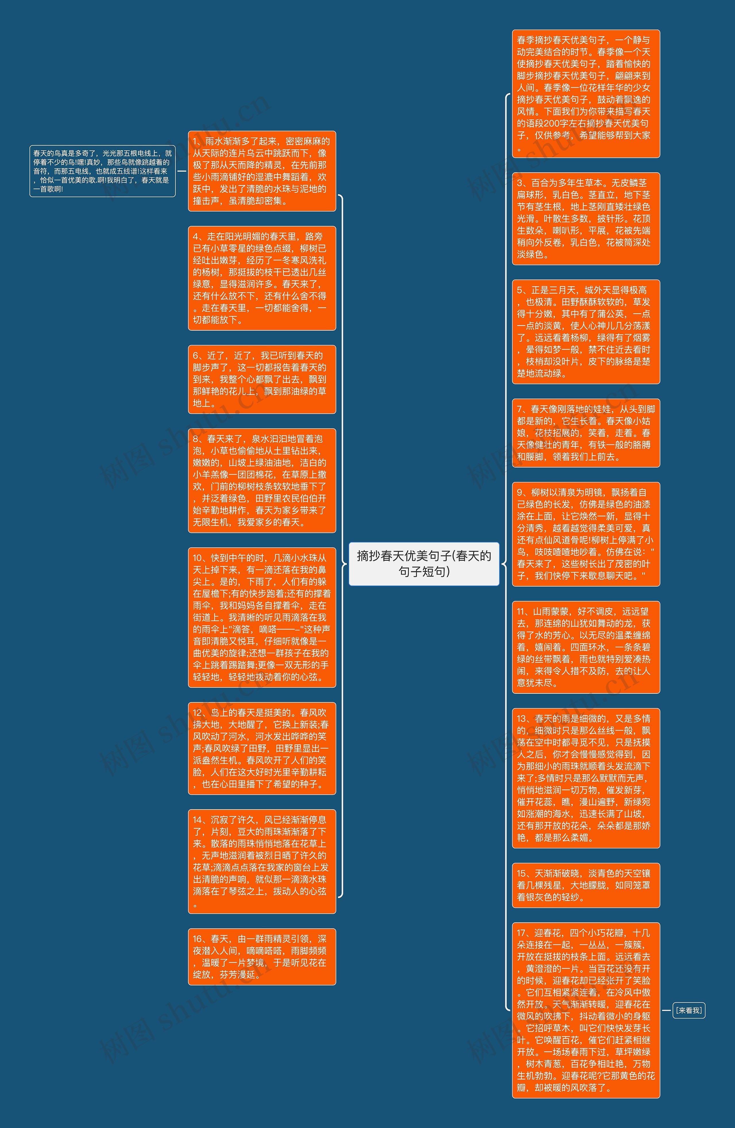 摘抄春天优美句子(春天的句子短句)思维导图