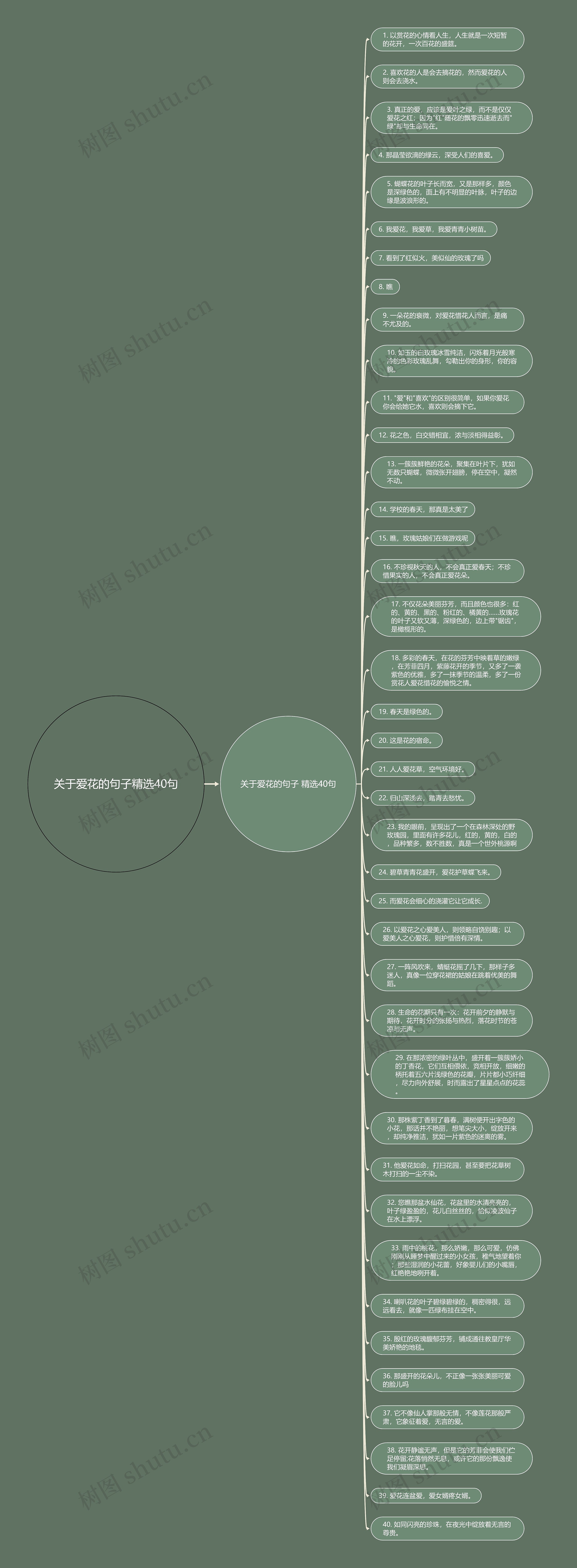 关于爱花的句子精选40句思维导图