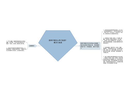 翡翠手镯怎么养才能透？戴多久能透