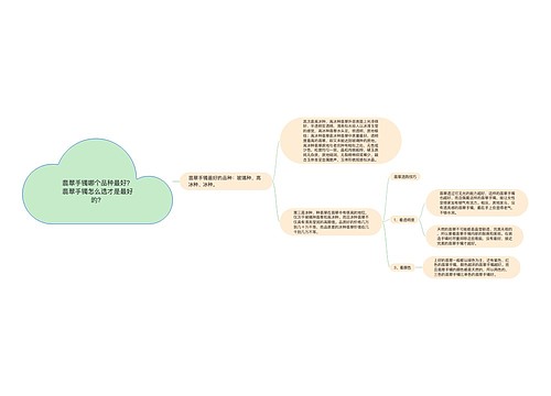 翡翠手镯哪个品种最好？翡翠手镯怎么选才是最好的？