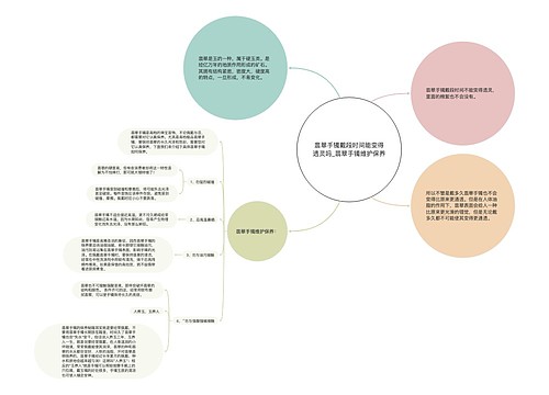 翡翠手镯戴段时间能变得透灵吗_翡翠手镯维护保养