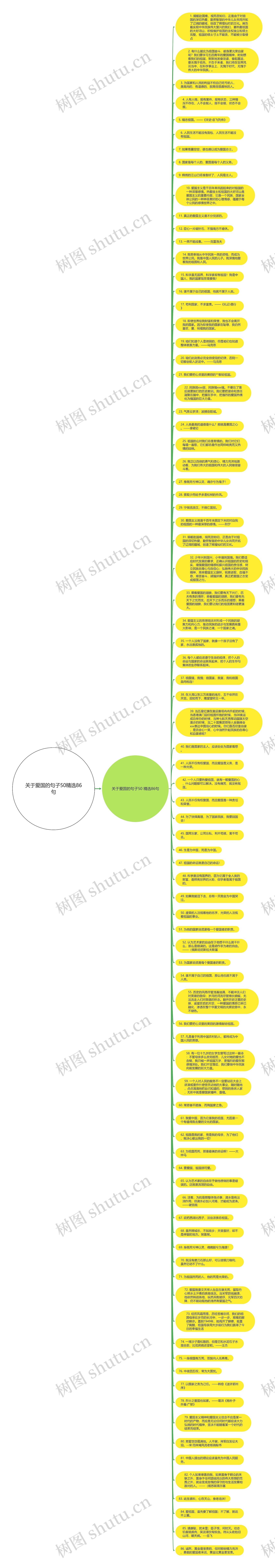 关于爱国的句子50精选86句思维导图