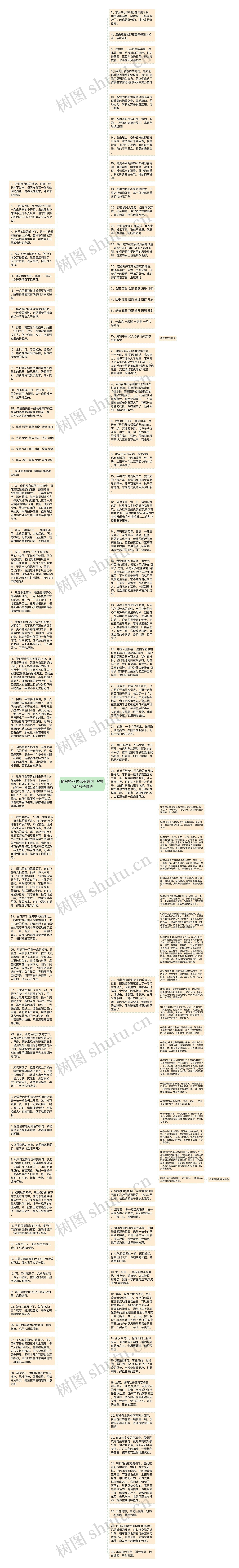 描写野花的优美语句  写野花的句子唯美思维导图