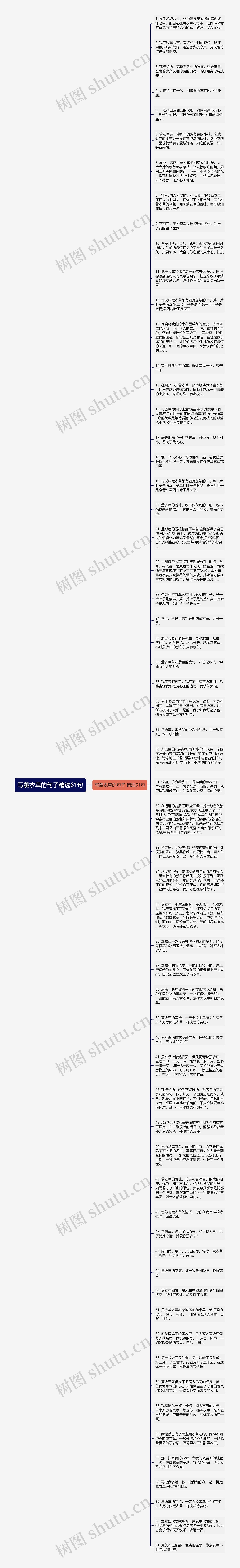 写薰衣草的句子精选61句思维导图