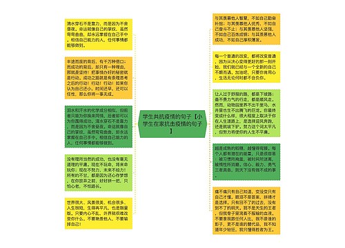 学生共抗疫情的句子【小学生在家抗击疫情的句子】