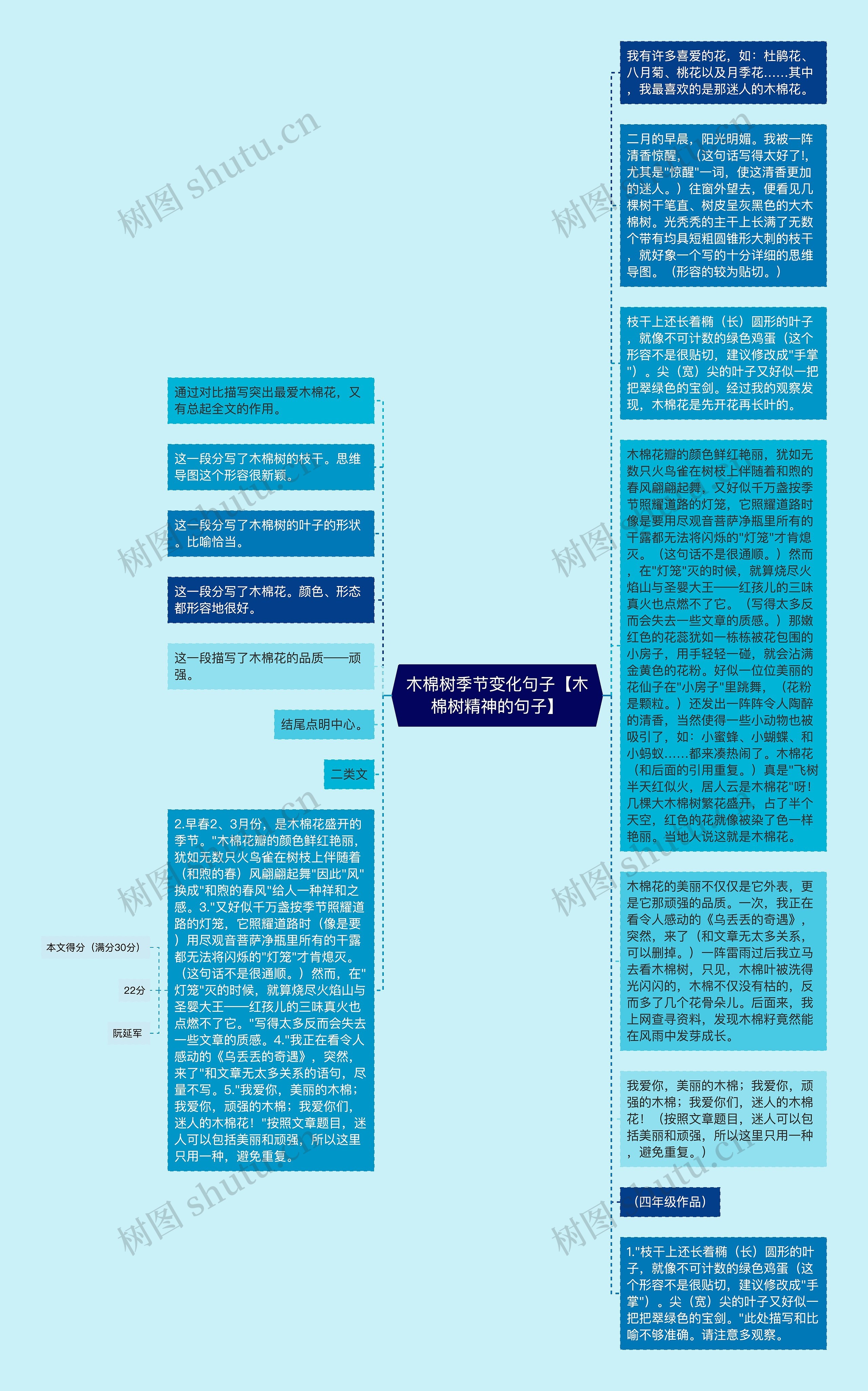 木棉树季节变化句子【木棉树精神的句子】思维导图