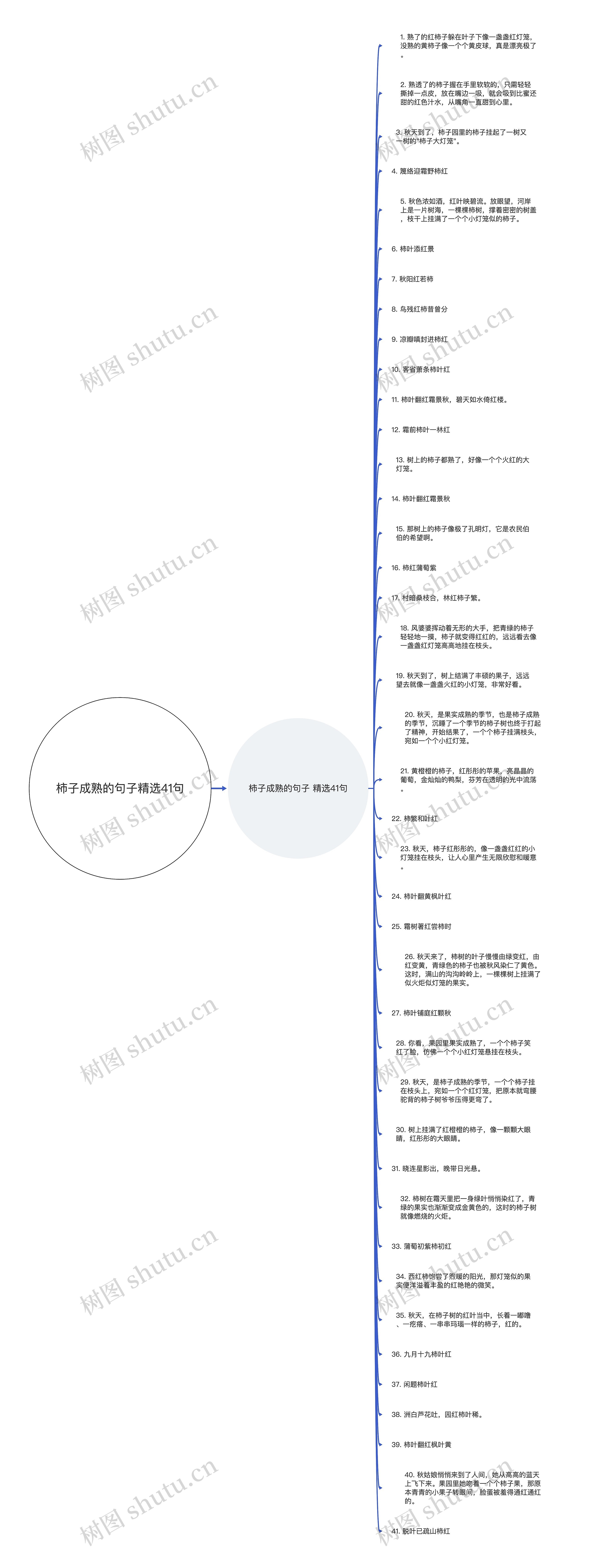 柿子成熟的句子精选41句