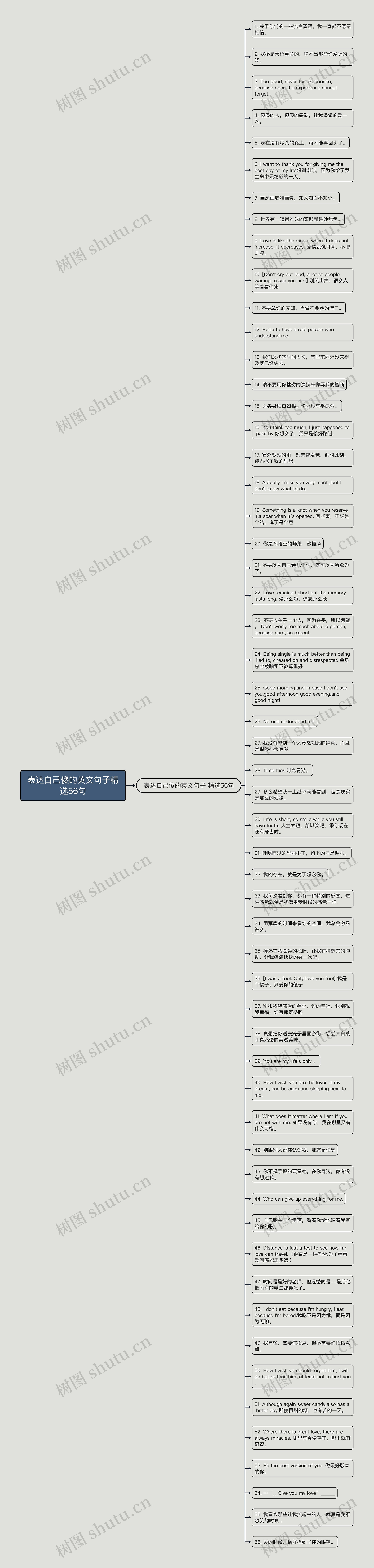 表达自己傻的英文句子精选56句思维导图