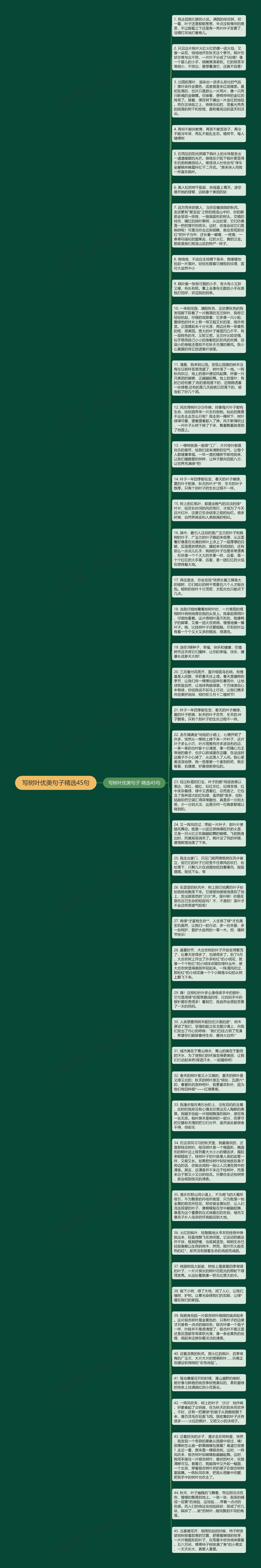 写树叶优美句子精选45句思维导图