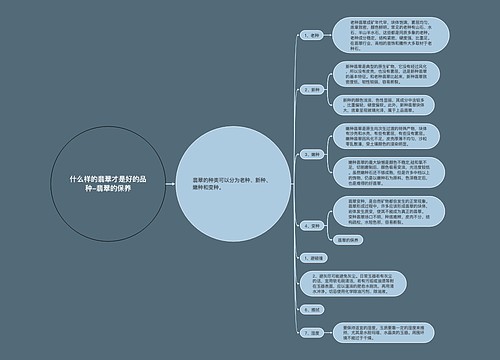 什么样的翡翠才是好的品种-翡翠的保养