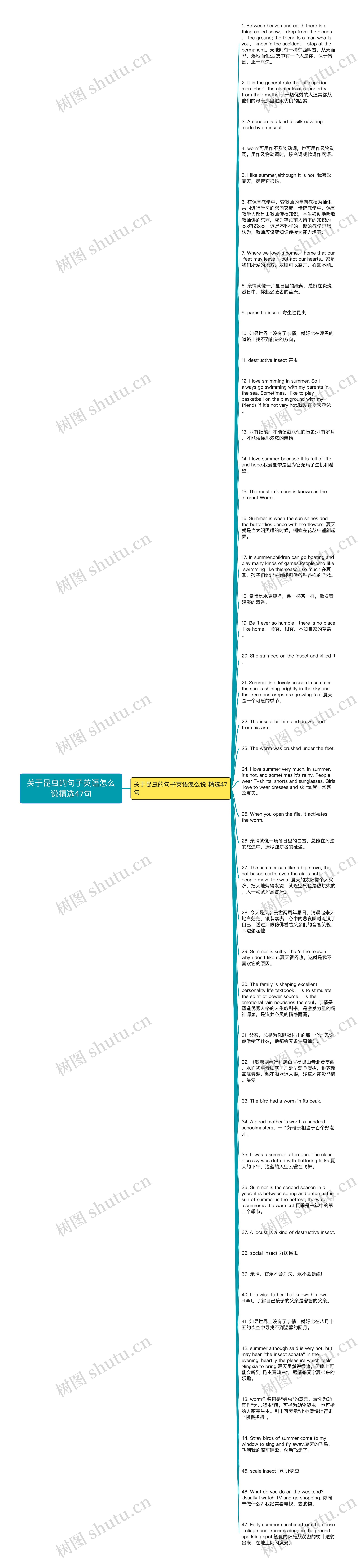 关于昆虫的句子英语怎么说精选47句思维导图