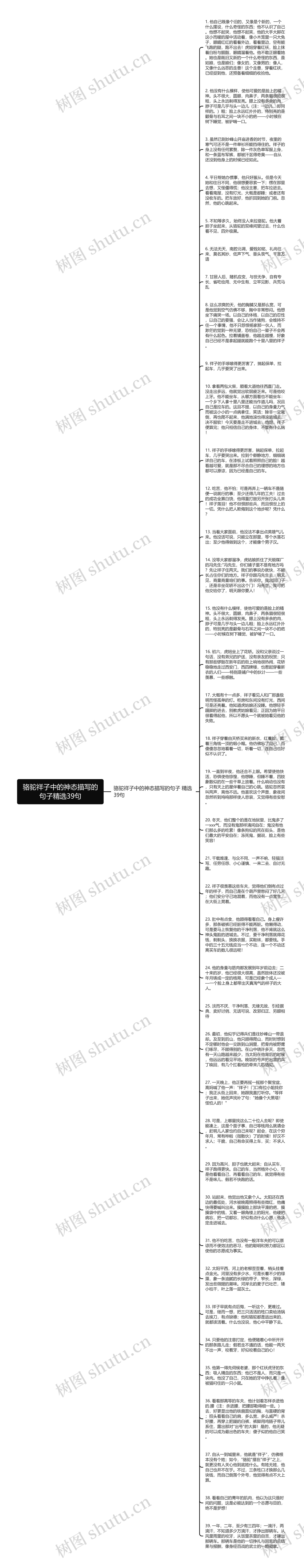 骆驼祥子中的神态描写的句子精选39句思维导图