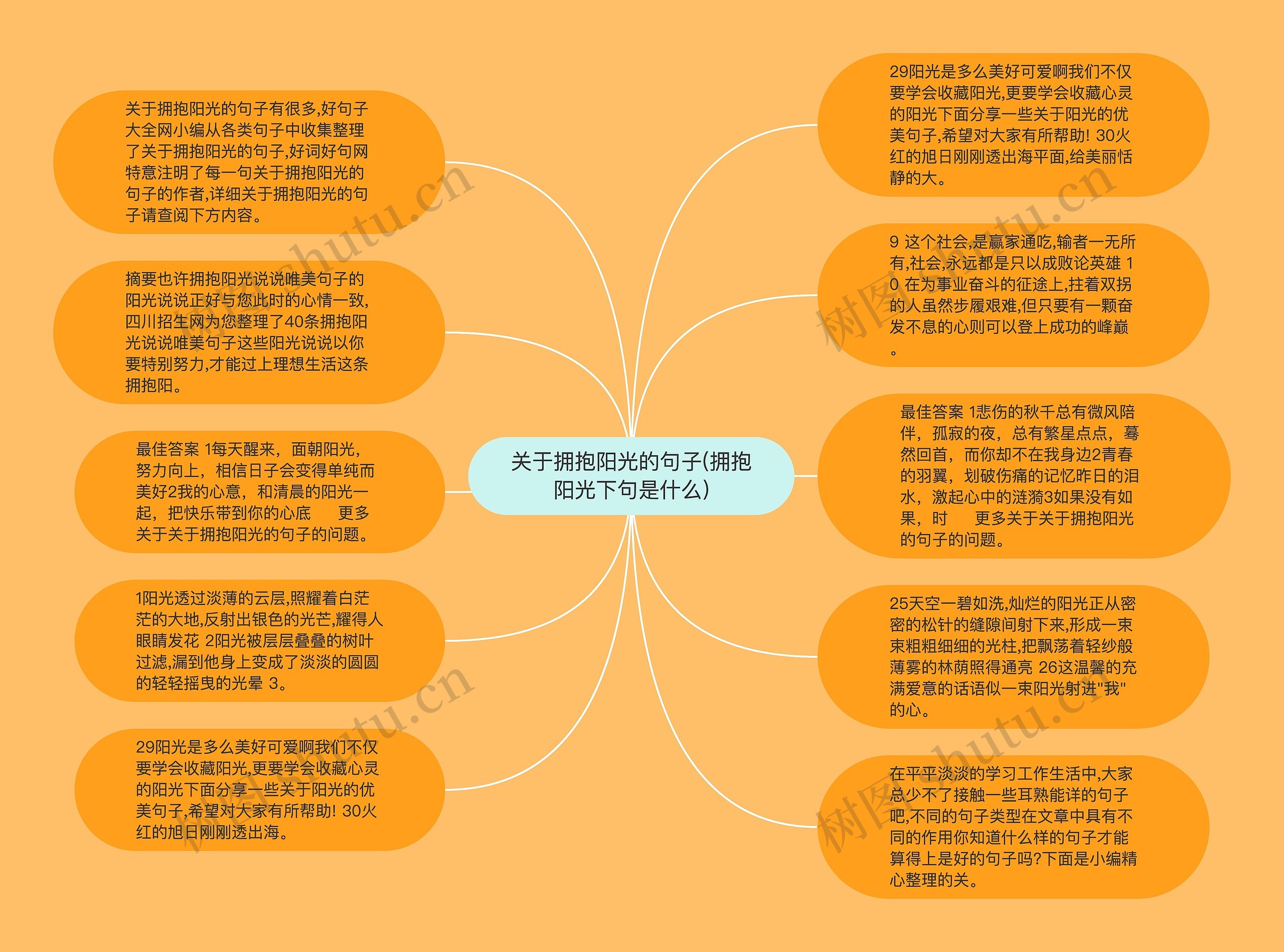 关于拥抱阳光的句子(拥抱阳光下句是什么)
