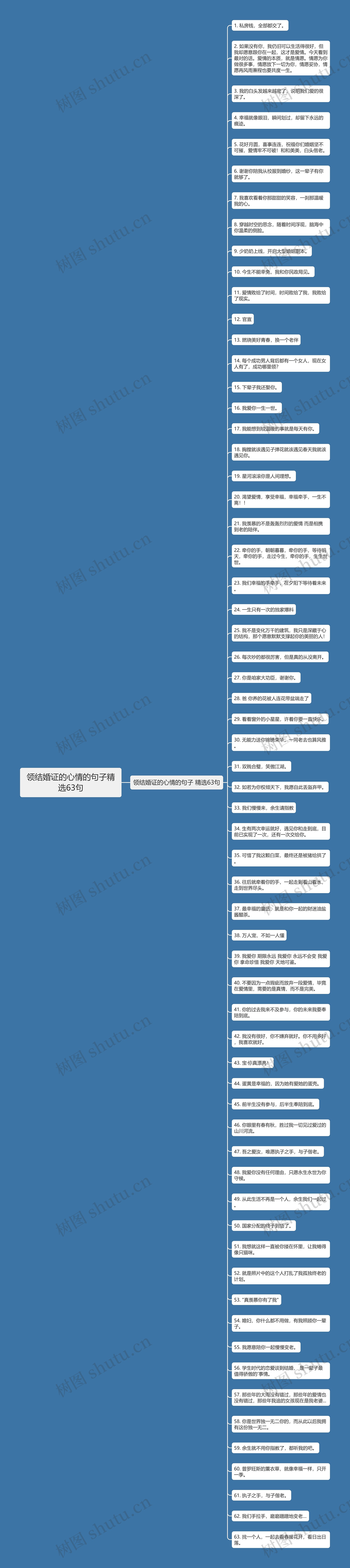 领结婚证的心情的句子精选63句