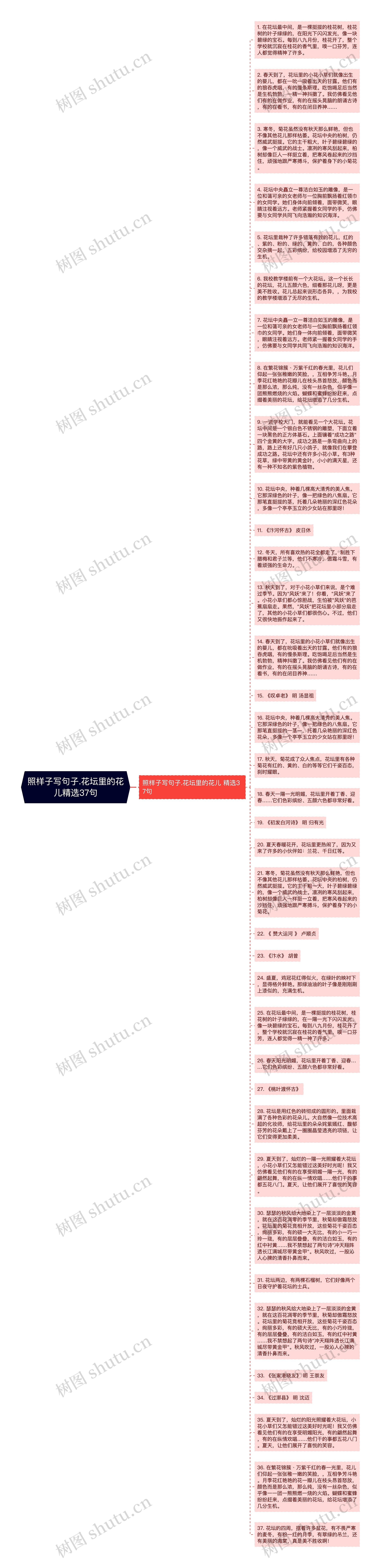 照样子写句子.花坛里的花儿精选37句思维导图