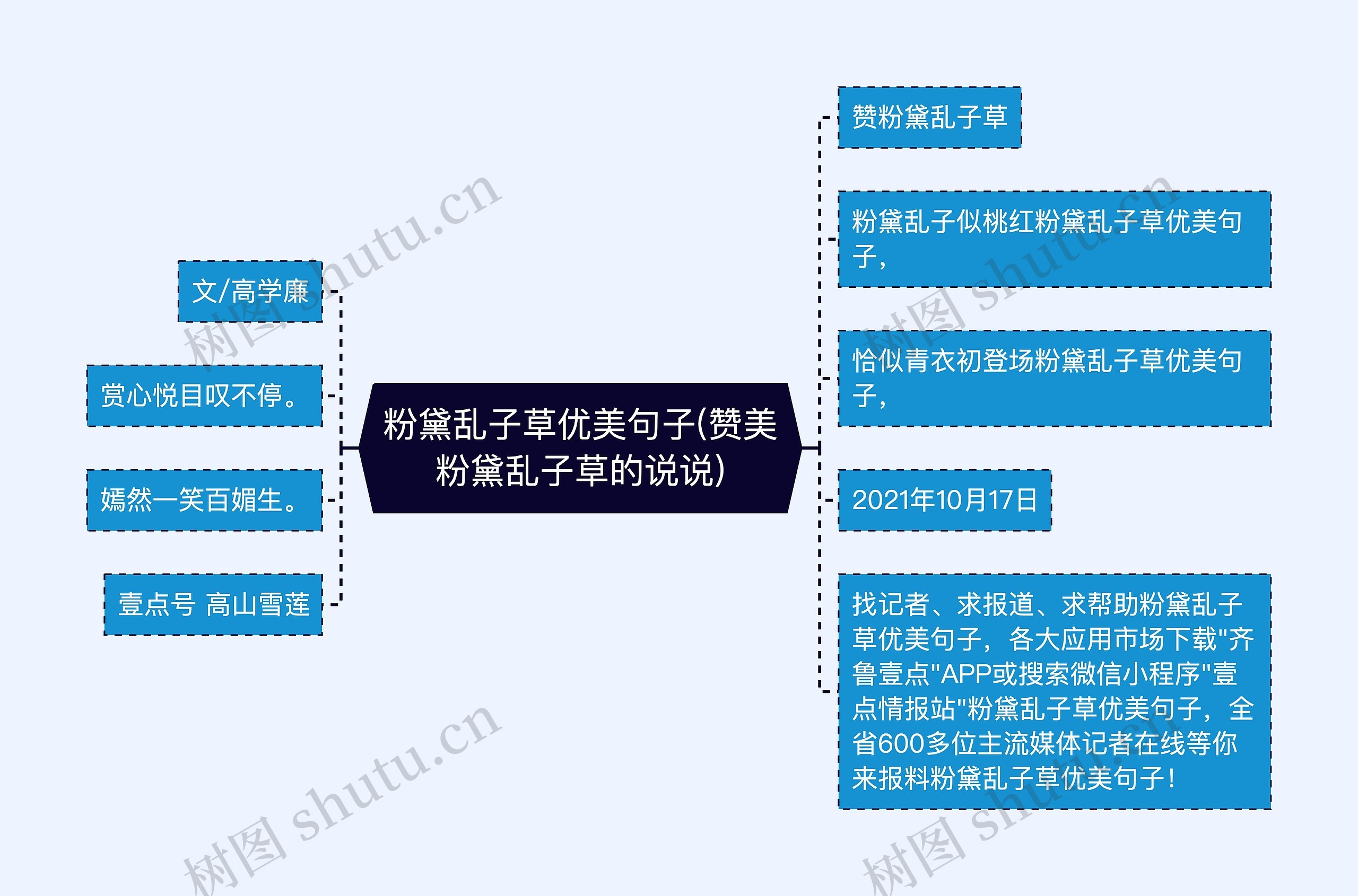 粉黛乱子草优美句子(赞美粉黛乱子草的说说)