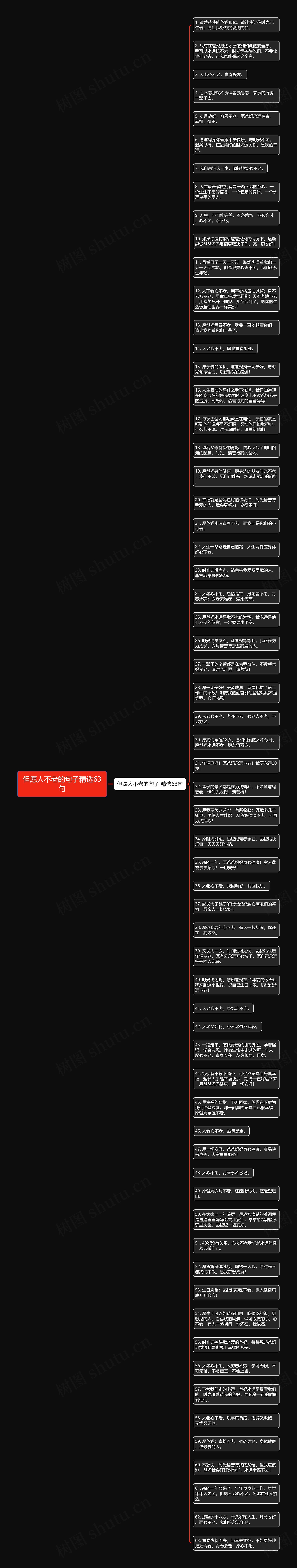 但愿人不老的句子精选63句思维导图