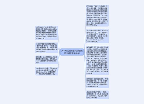 关于烟花的伤感文案(朋友圈发烟花配文唯美)