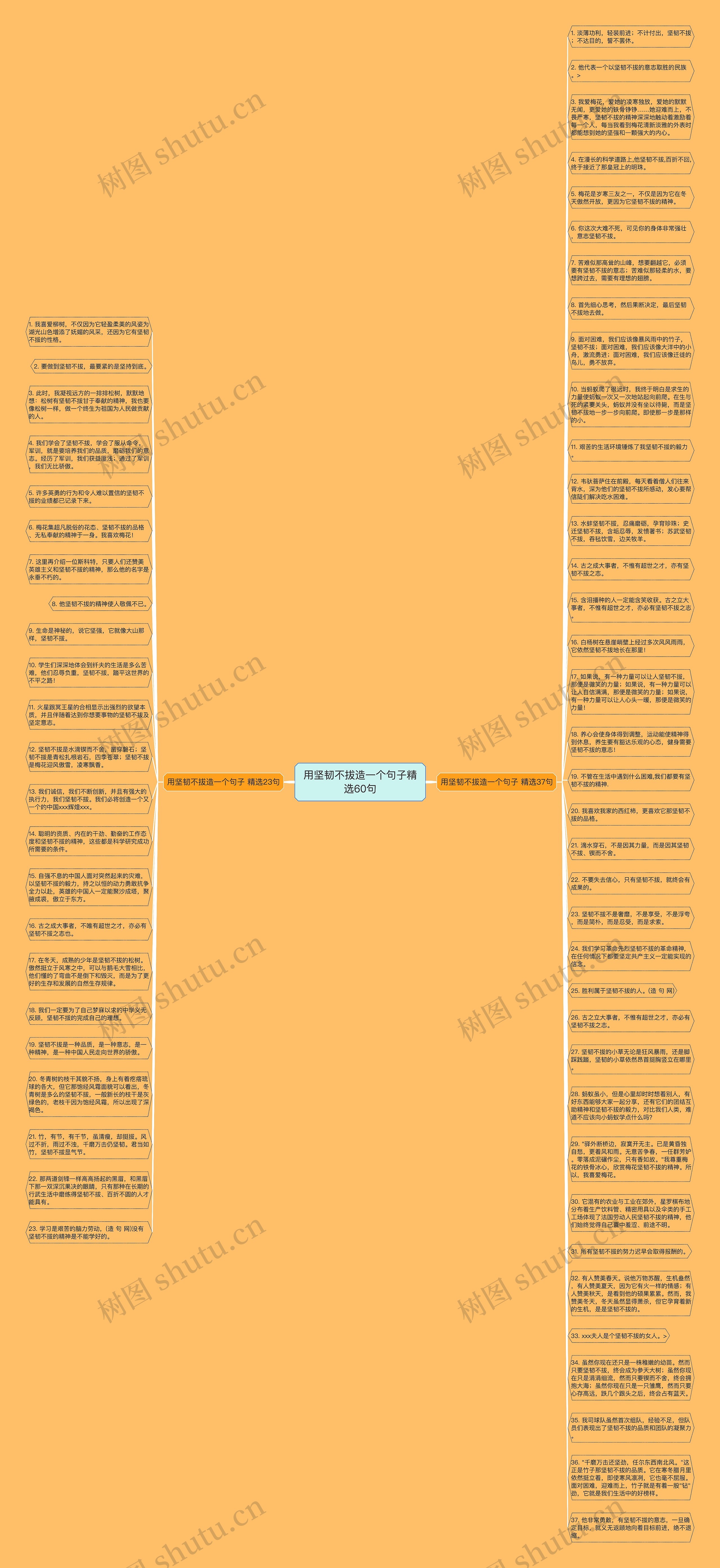 用坚韧不拔造一个句子精选60句思维导图