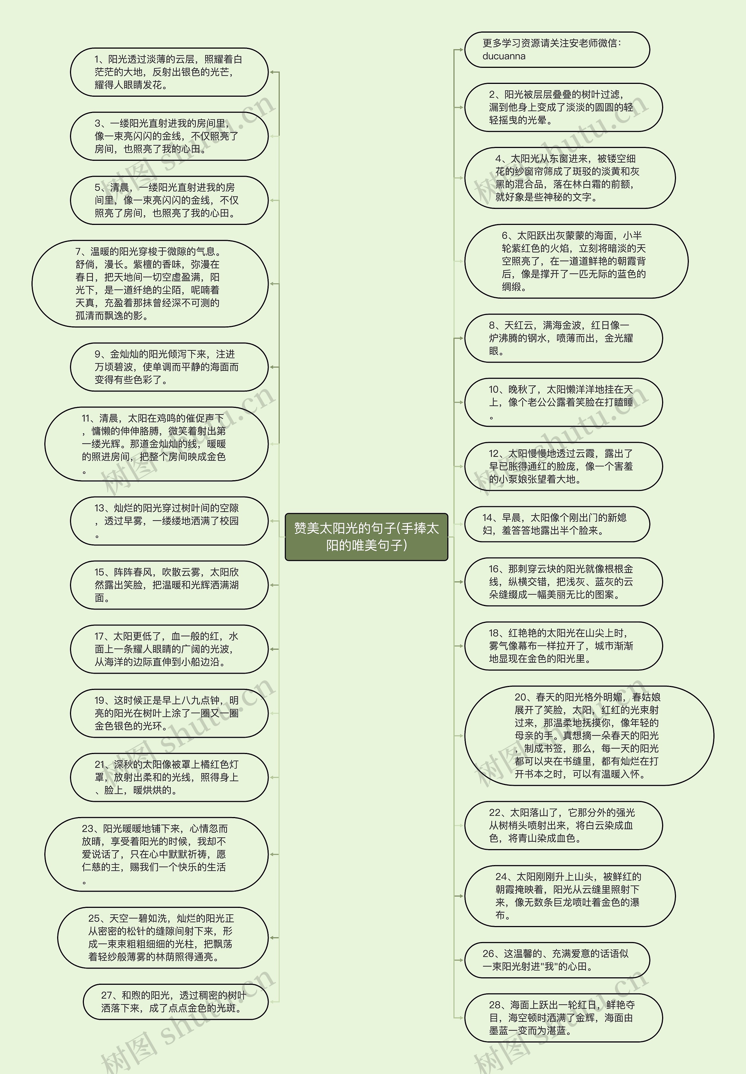 赞美太阳光的句子(手捧太阳的唯美句子)思维导图